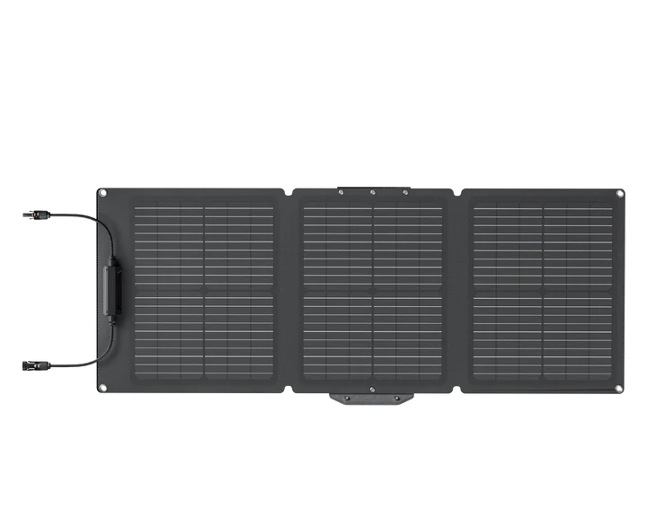 Сонячна панель EcoFlow 60W Solar Panel 837 фото